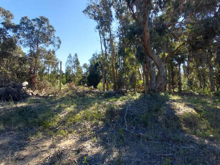 Terreno en venta en Avenida de los Ceibos, Maldonado