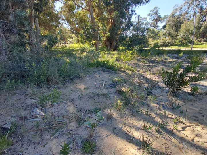 Terreno en venta en Avenida de los Ceibos, Maldonado