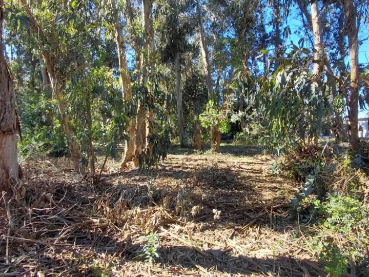 Terreno en venta en Avenida de los Ceibos, Maldonado
