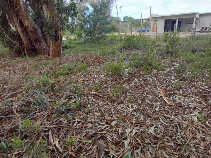 Terreno en venta en Avenida de los Ceibos, Maldonado