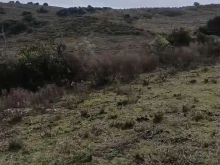 Granja en venta en Domingo Pérez, Lavalleja