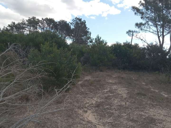 Terreno en venta en Calle 71 - Camino a la Mano, Puimayen