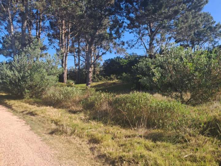 Terreno en venta en Punta del Diablo