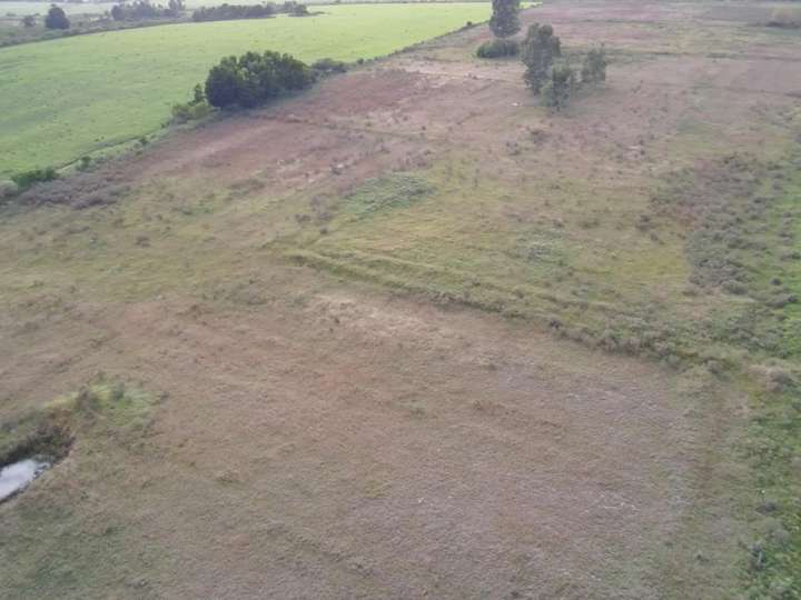 Granja en venta en San Jacinto