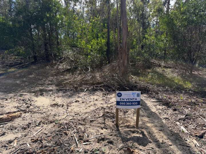 Terreno en venta en Cabo Polonio
