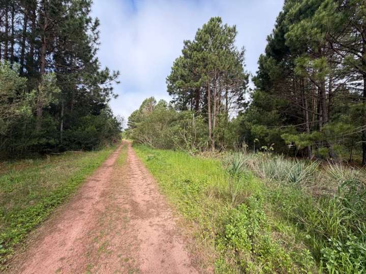 Terreno en venta en Cabo Polonio