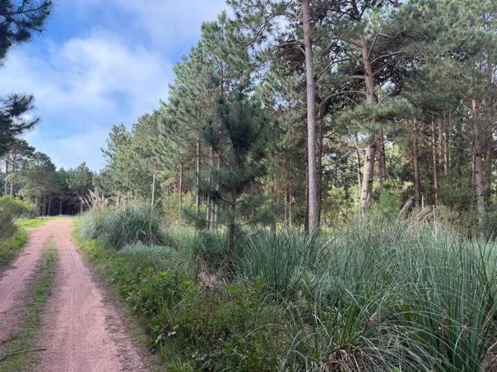 Terreno en venta en Cabo Polonio