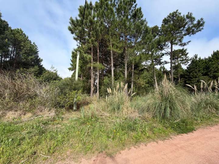 Terreno en venta en Cabo Polonio