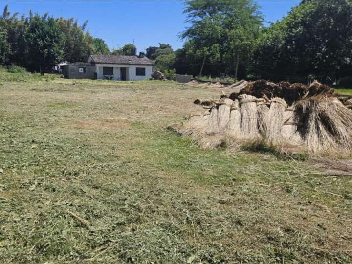 Terreno en venta en Santa Rita, Colonia Nicolich
