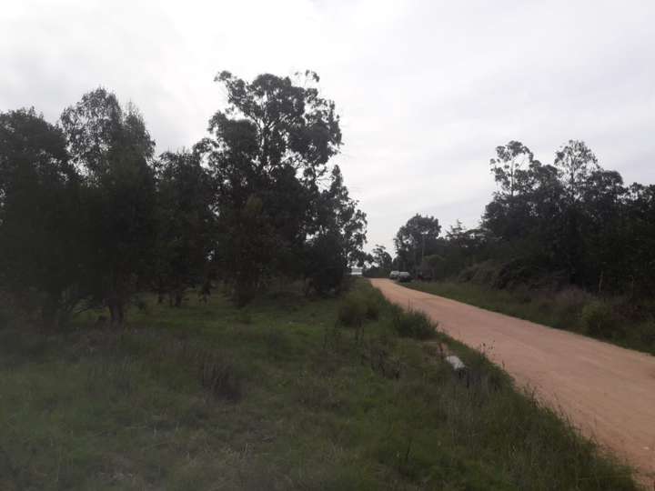 Terreno en venta en Maldonado