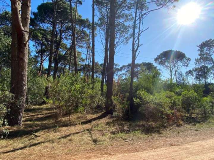 Terreno en venta en Lago Brasiano, Maldonado