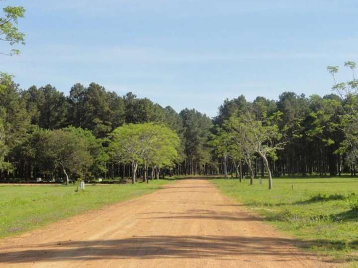 Terreno en venta en Avenida Antonio Lussich, Maldonado
