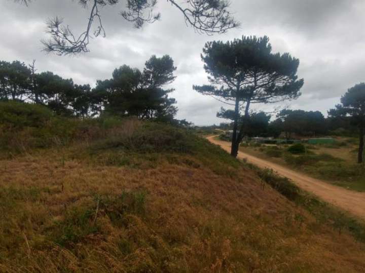 Terreno en venta en Teodoro Chesserau, San Rafael - El Placer