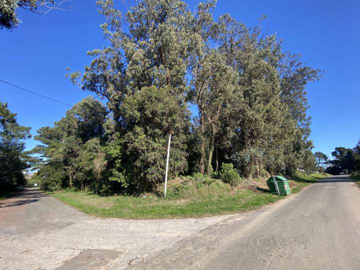 Terreno en venta en De Los Nenúfar, San Rafael - El Placer