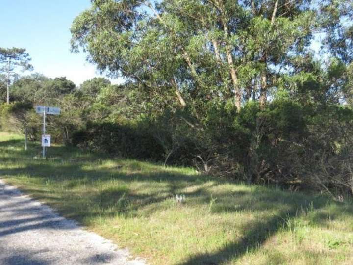Terreno en venta en Laguna del Diario, Maldonado