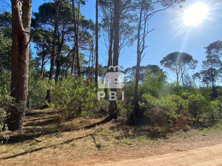 Terreno en venta en Lago Brasiano, Maldonado