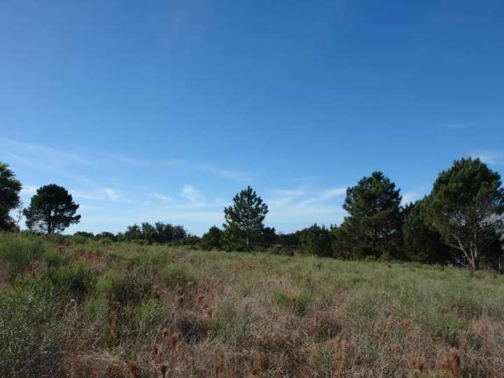 Terreno en venta en Los Teros, Maldonado