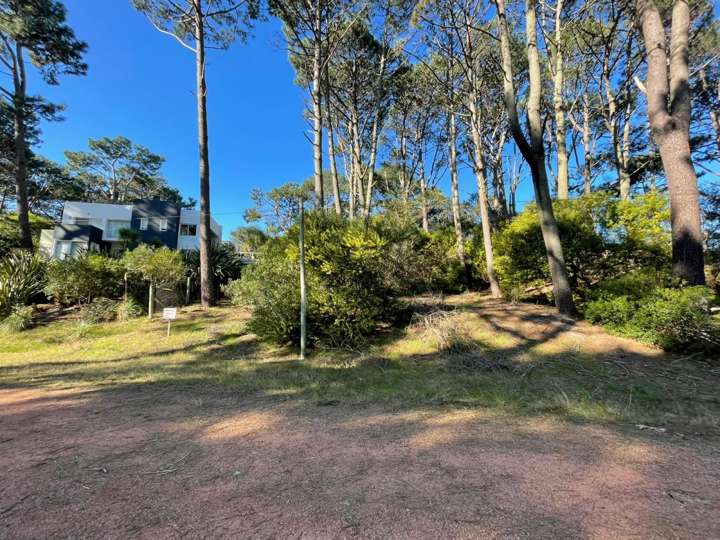 Terreno en venta en Baikal, Maldonado