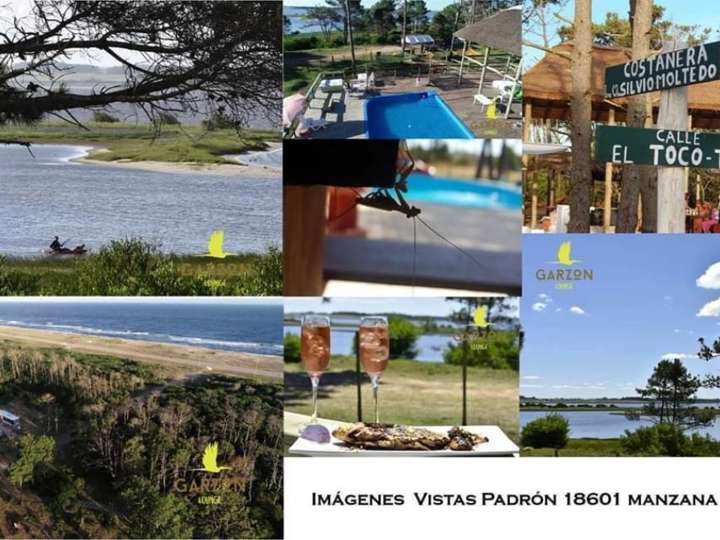 Casa en venta en De Los Eucaliptus, Punta Del Este