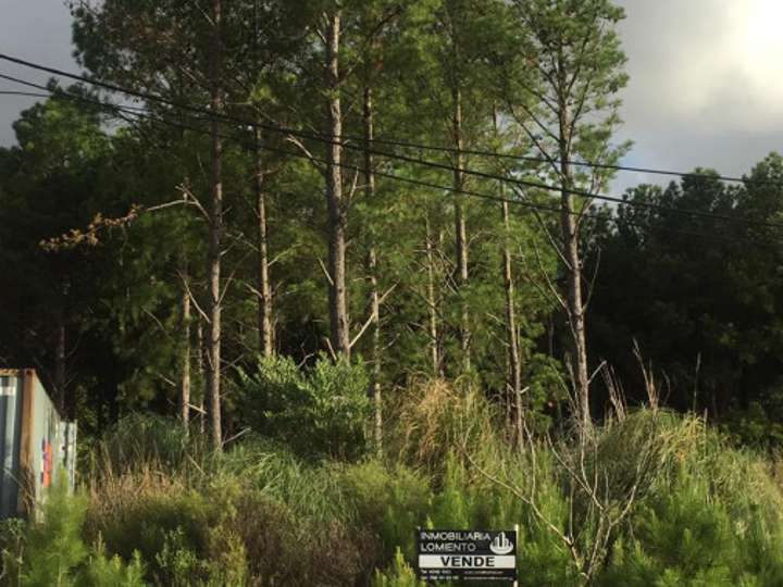 Terreno en venta en Lago Epuyén, Maldonado
