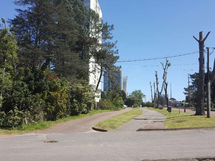 Terreno en venta en Patria Vieja, Punta Del Este