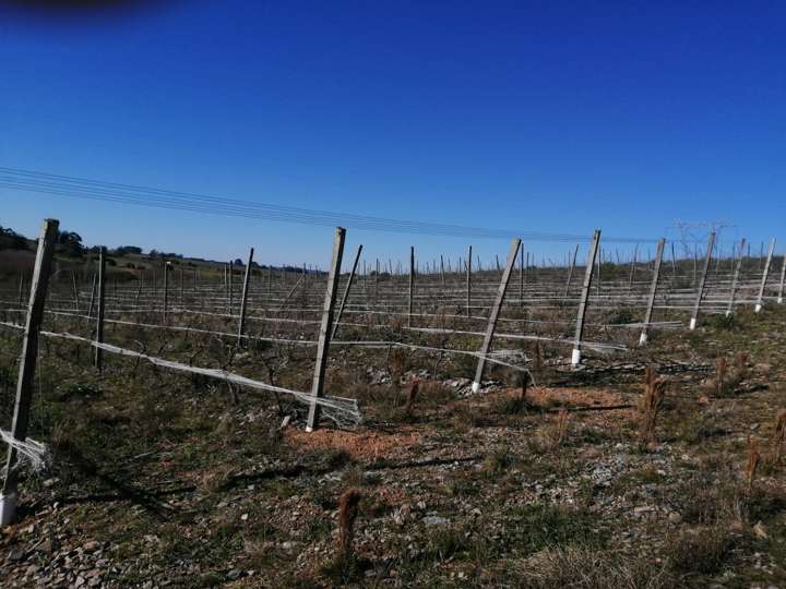 Granja en venta en Vecinal Clinica Volonte, Maldonado