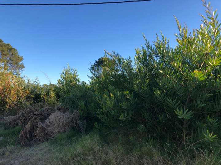 Terreno en venta en Calle 38 - La Sortija, Buenos Aires