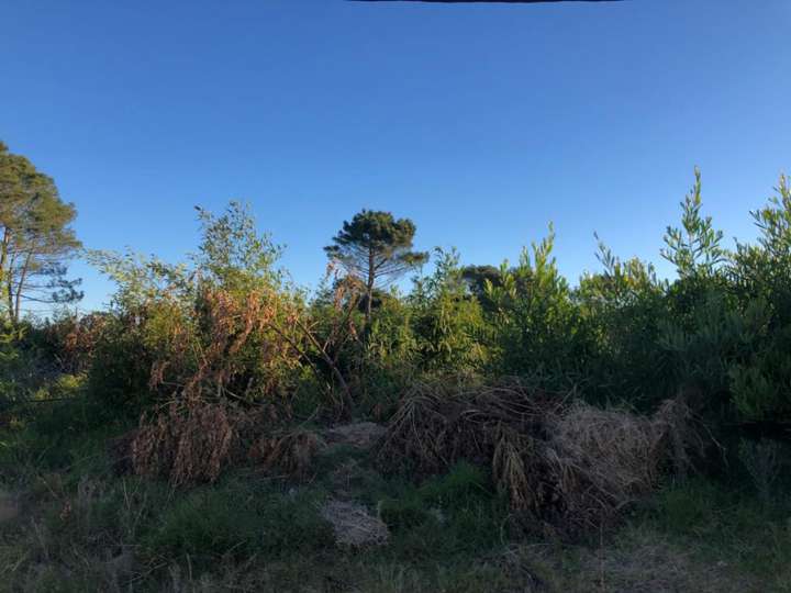 Terreno en venta en Calle 38 - La Sortija, Buenos Aires