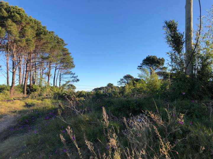 Terreno en venta en Calle 38 - La Sortija, Buenos Aires