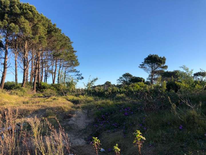 Terreno en venta en Calle 38 - La Sortija, Buenos Aires