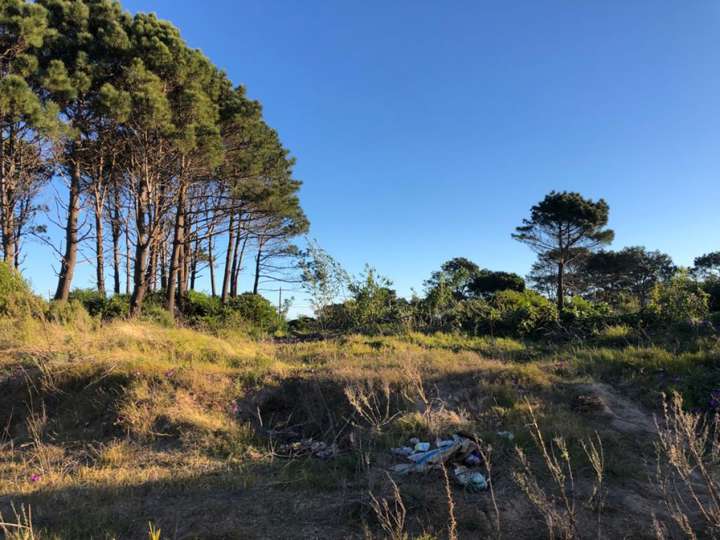 Terreno en venta en Calle 38 - La Sortija, Buenos Aires