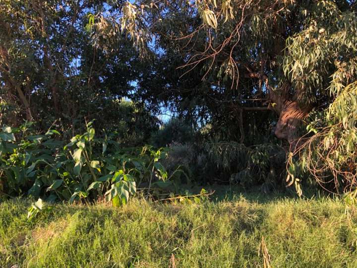 Terreno en venta en Calle 39 - El Truco, Buenos Aires