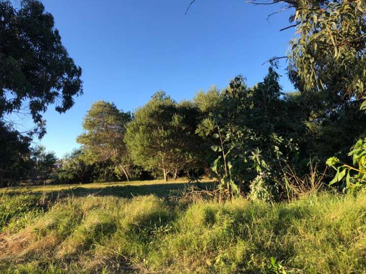 Terreno en venta en Calle 39 - El Truco, Buenos Aires