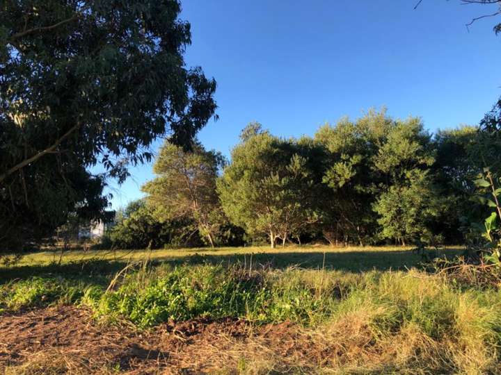 Terreno en venta en Calle 39 - El Truco, Buenos Aires