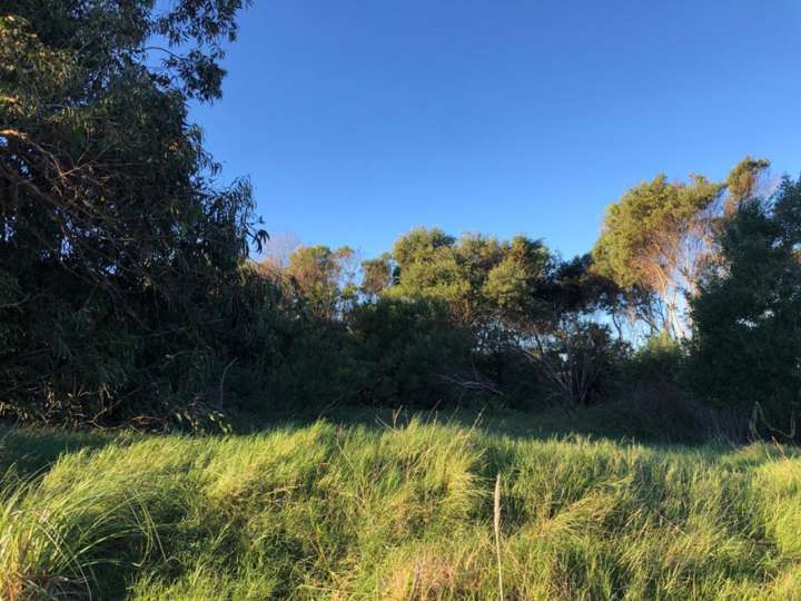 Terreno en venta en Calle 40 - La Viguela, Buenos Aires