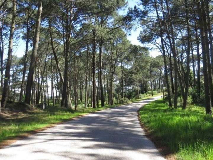 Terreno en venta en Laguna del Diario, Maldonado