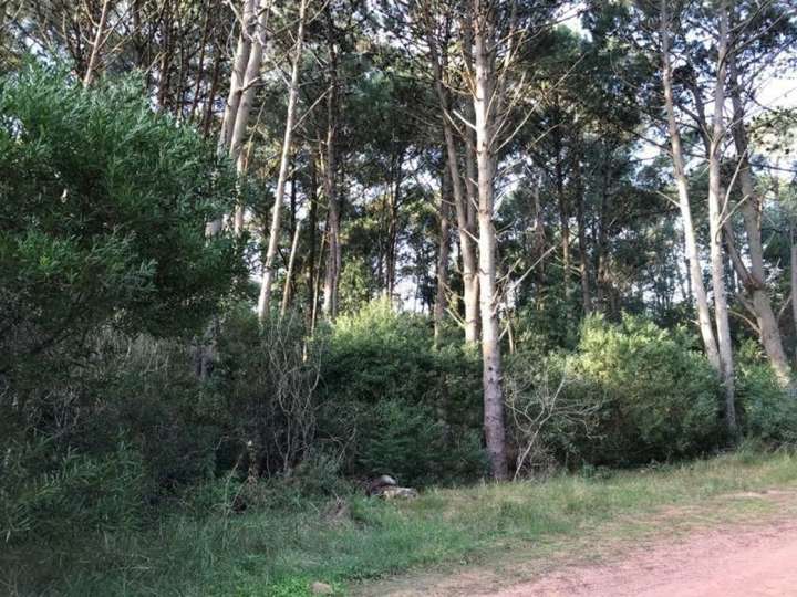 Terreno en venta en Lago Como, Maldonado