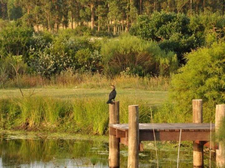 Granja en venta en Benito Borrazas, Maldonado