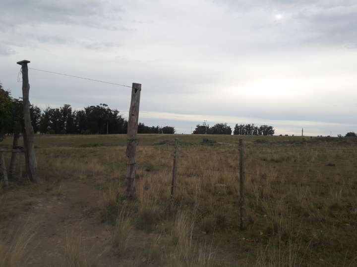 Granja en venta en La Barra