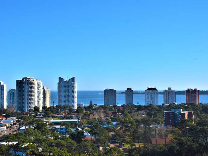 Apartamento en venta en Punta Del Este