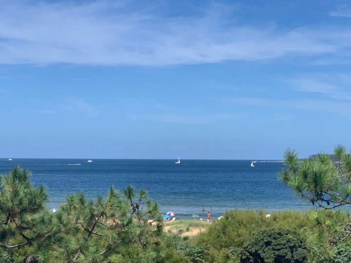 Apartamento en alquiler en Punta Del Este