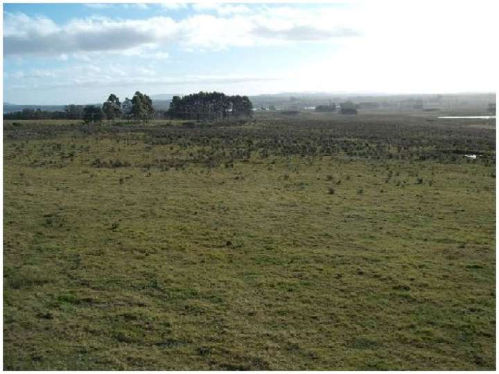 Granja en venta en Maldonado