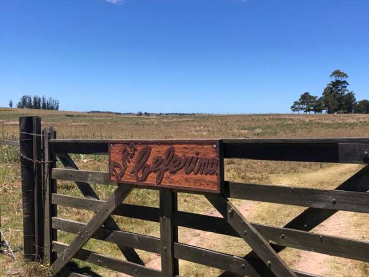 Granja en venta en Camino Nacional, Maldonado