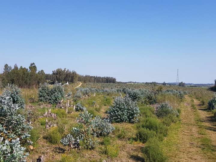 Granja en venta en Maldonado
