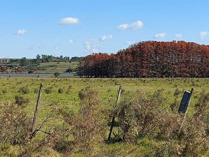 Granja en venta en Maldonado