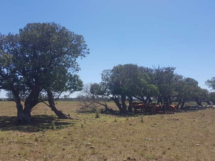 Granja en venta en Maldonado