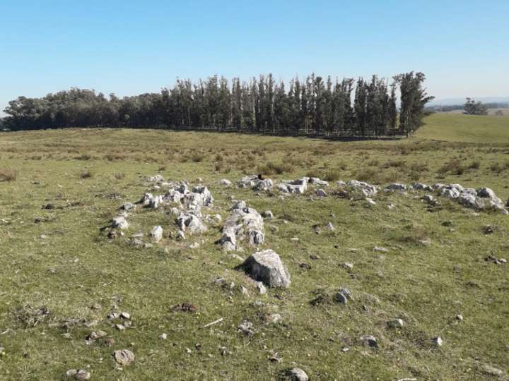 Granja en venta en Buenos Aires