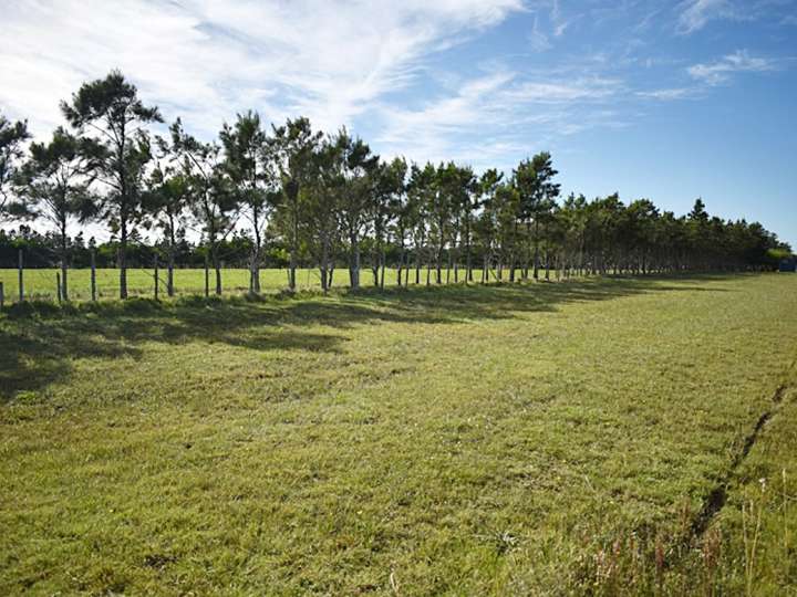 Granja en venta en Maldonado