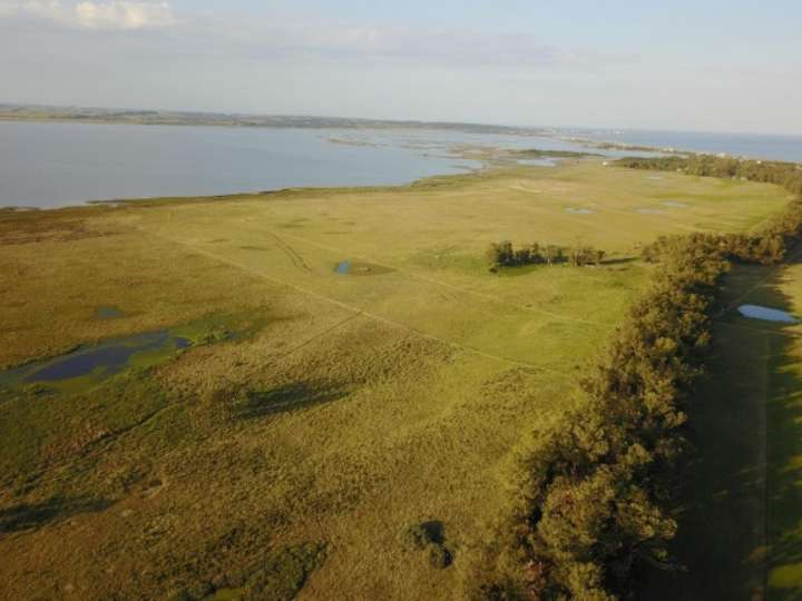 Granja en venta en Las Delicias, Maldonado