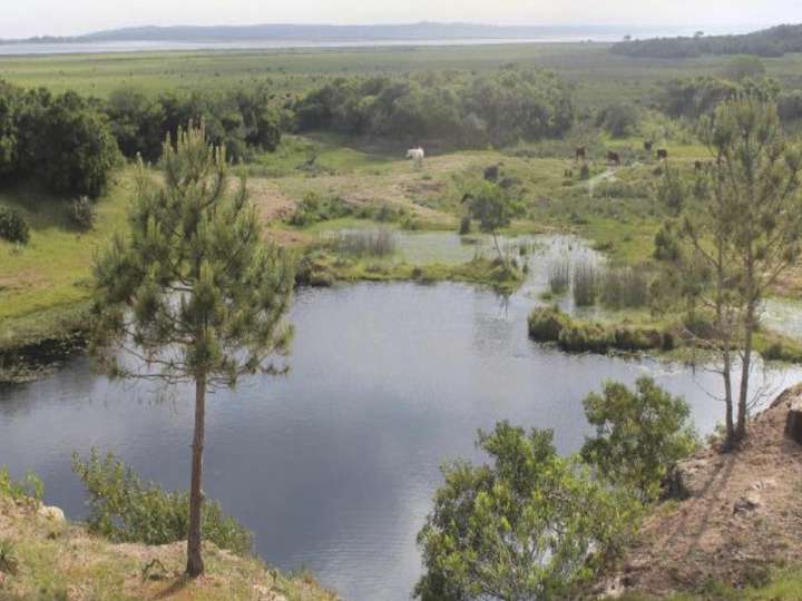 Granja en venta en Maldonado